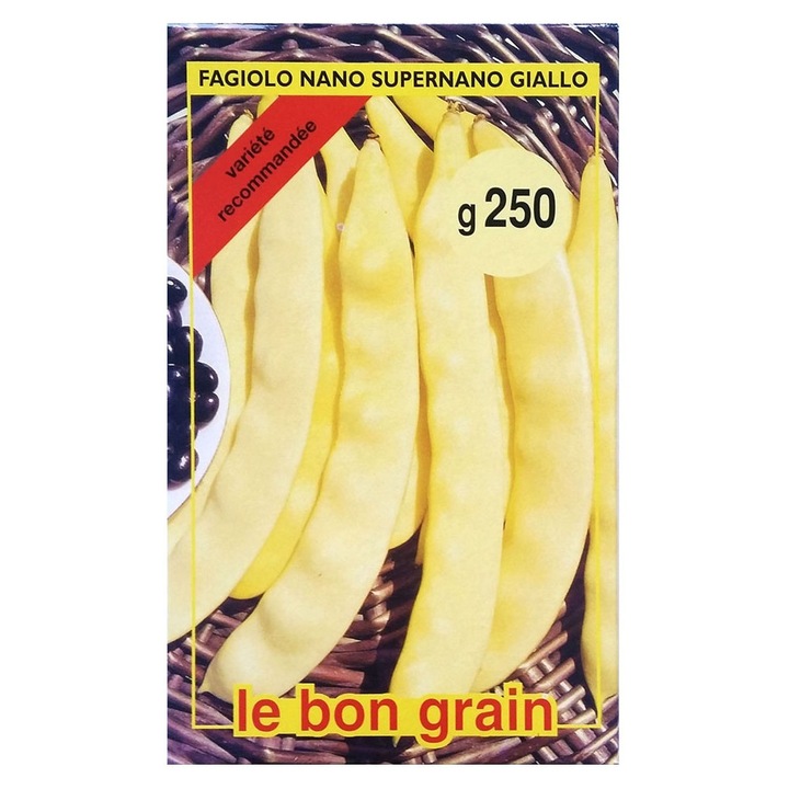 Set 2 x Seminte de Fasole Galbena Lata, Supernano, 250 g, Raci Sementi