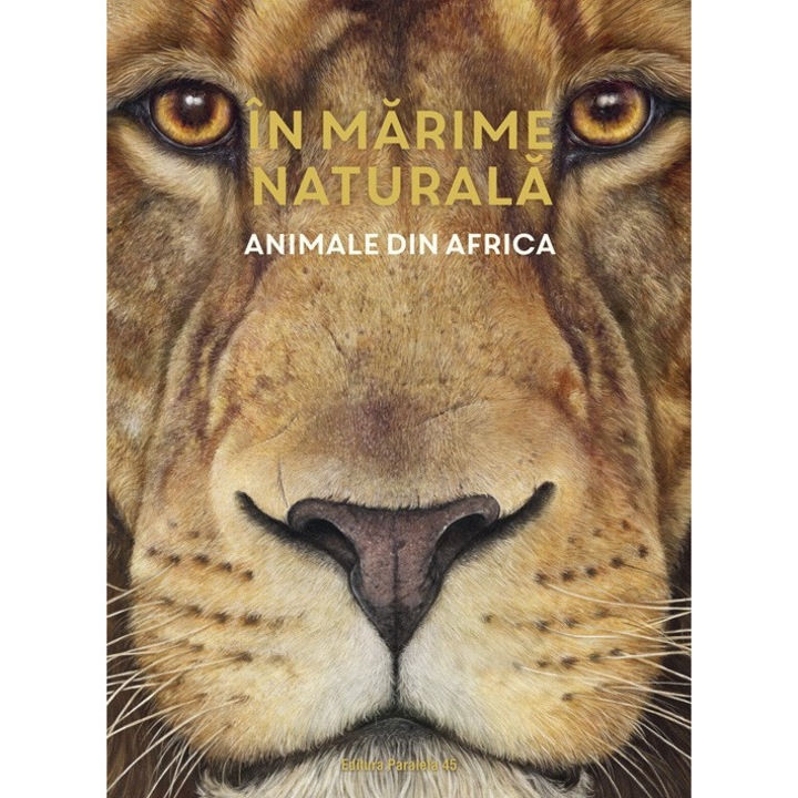 In marime naturala. Animale din Africa, Haag