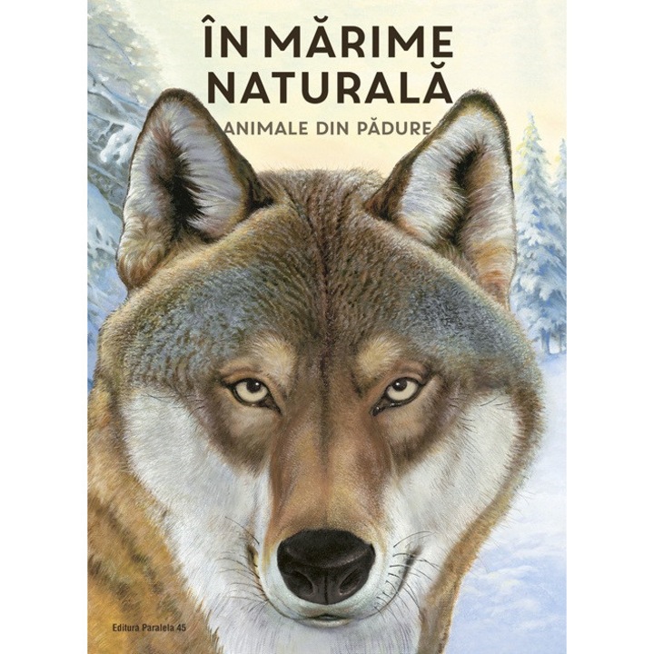 In marime naturala. Animale din padure, Haag