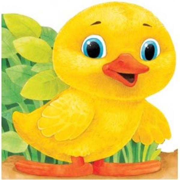 Ratusca - Primii Pasi