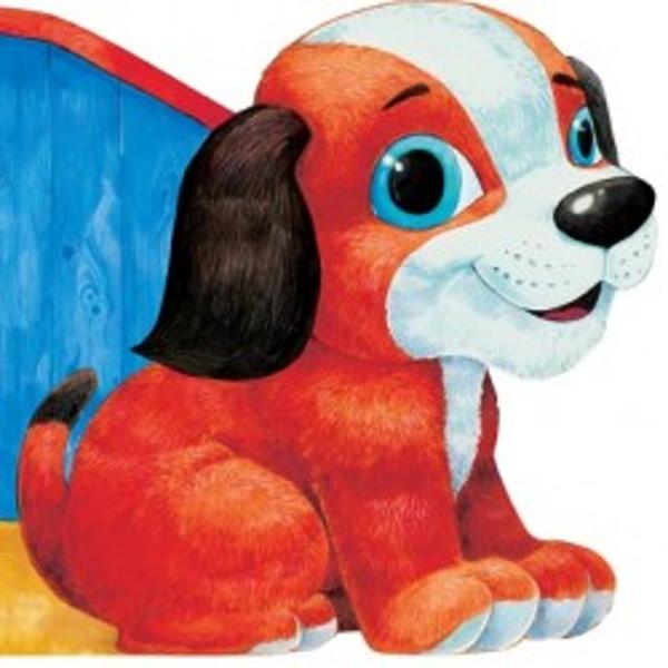 Catelusul - Primii Pasi