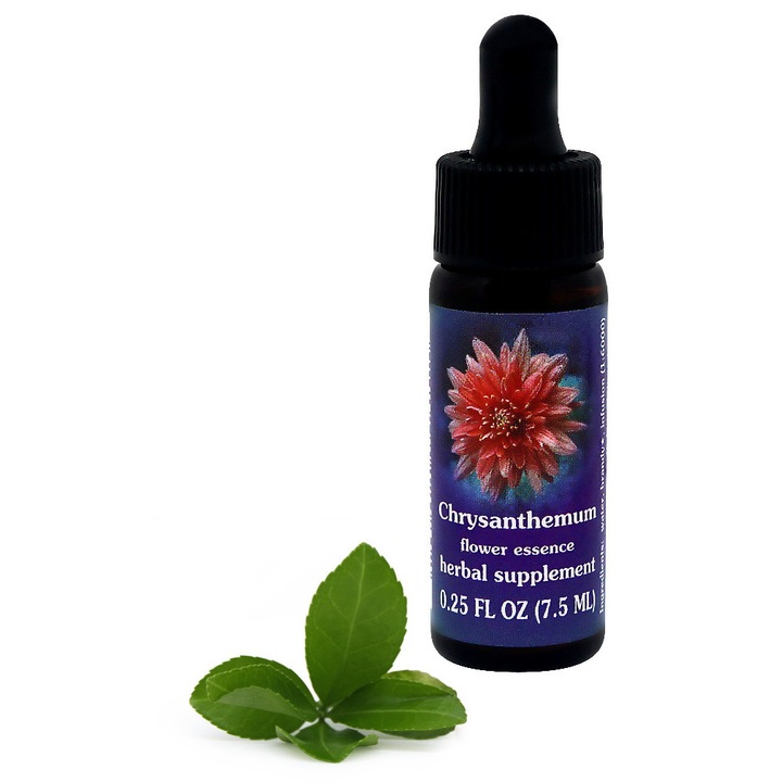 Krizantém virágesszencia szolgáltatások 7.5ml