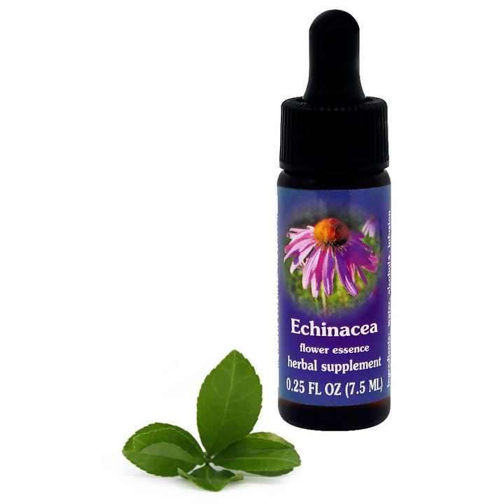 Esenta florala Echinacea Flower Essence Services 7,5ml organic