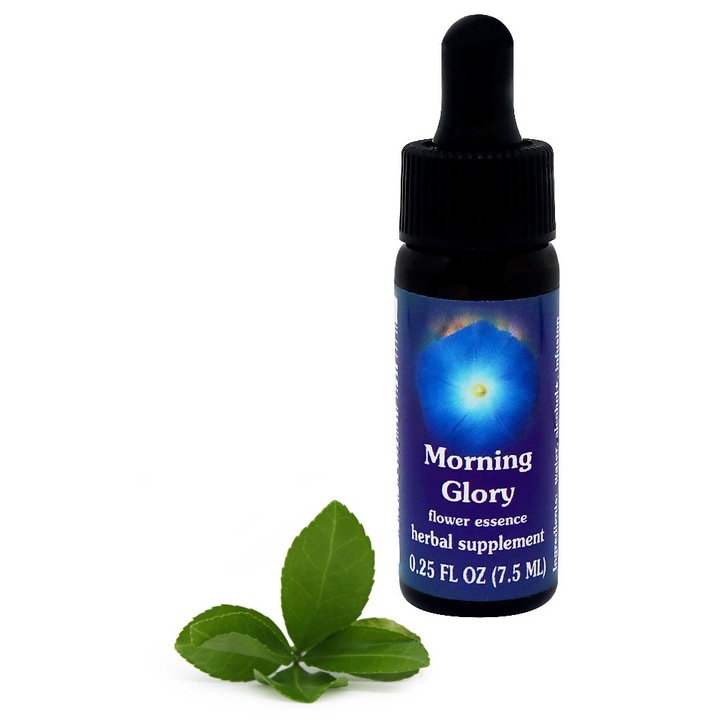 Esenta florala Morning Glory Flower Essence Services 7,5 ml
