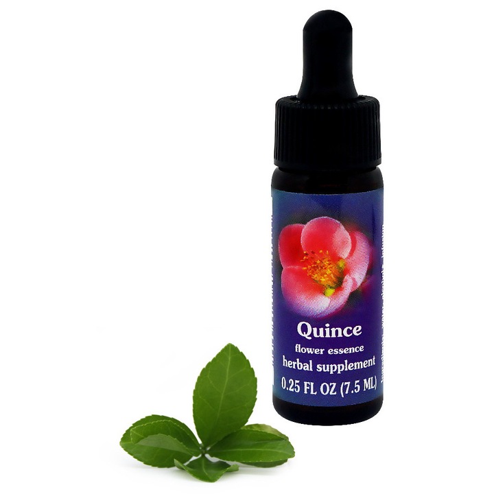Esenta florala Flower Essence Services Quince (Chaenomeles speciosa), elixir floral, din recolte salbatice, conservant alcool organic 20%, Maro, 7,5 ml