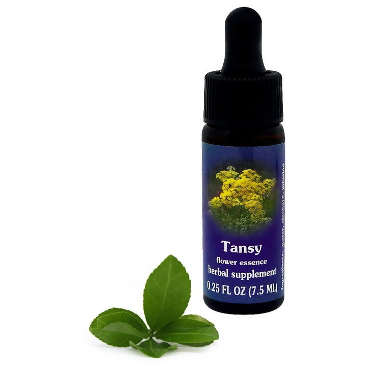 Flower Essence Services Tansy virágesszencia 7,5ml cseppek
