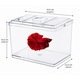 Acvariu cu capac, Design premium, Ideal pentru pesti ornamentali, Usor de intretinut, 700ml, 16.5 x 16.5 x 12.5 cm, Transparent