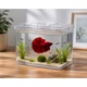 Acvariu cu capac, Design premium, Ideal pentru pesti ornamentali, Usor de intretinut, 700ml, 16.5 x 16.5 x 12.5 cm, Transparent