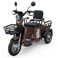 Triciclu Electric RDB SINOE PRO, fara permis, 1160W, 25km/h, Maro + CIV inclus