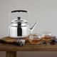 Ceainic cu filtru, otel inoxidabil, 5L, portabil, rezistent la temperaturi