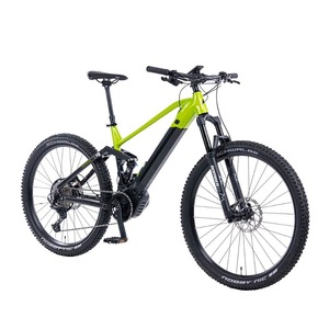 Biciclete electrice