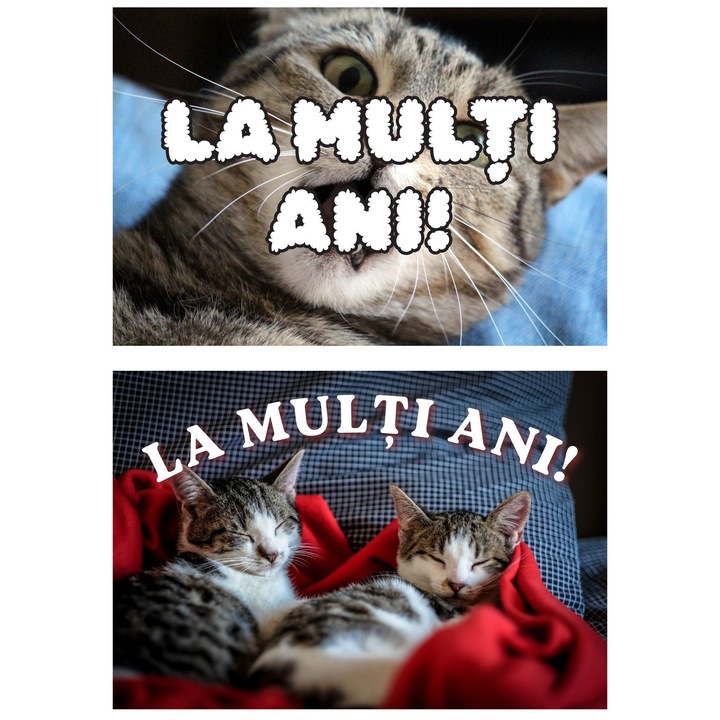 Set 2 Felicitari La Multi Ani cu Pisici, Design Adorabil, Carton Premium 250g, 20x14 cm