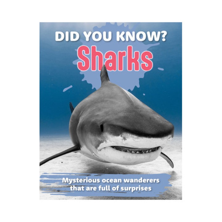 Did You Know? Sharks: Mysterious Ocean Wanderers That Are Full Of Surprises -