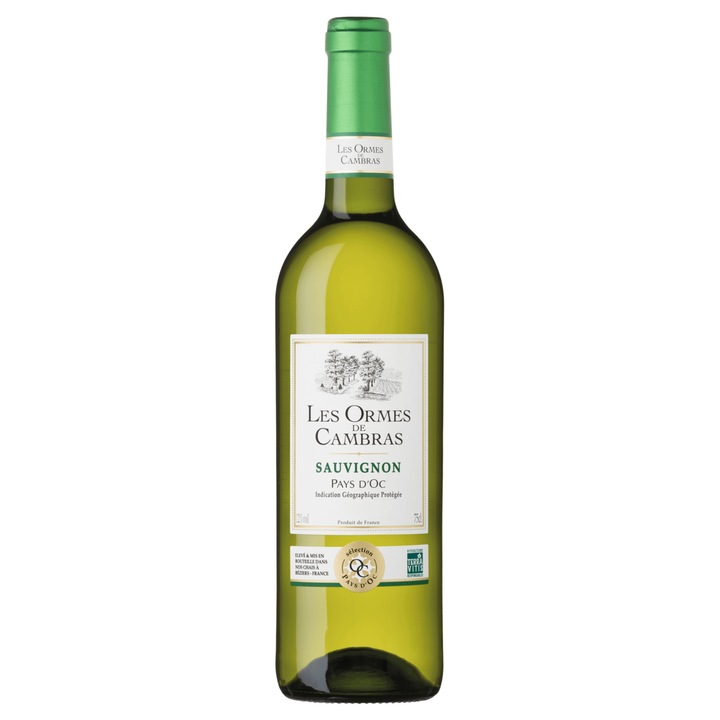 Vin Alb Castel Freres Les Ormes de Cambras, Sauvignon Blanc, Sec, 07.5l