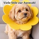 Set de 4 guler de protecție pentru animale de companie, BOMSTOM, portocaliu/albastru/galben/roz, moale, reglabil