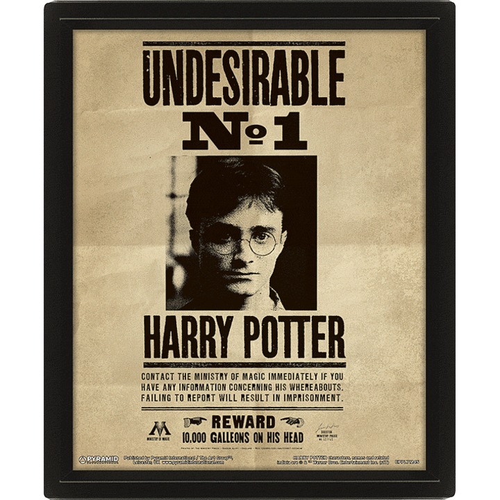 Tablou 3D Pyramid Harry Potter Sirius roz 23x28cm