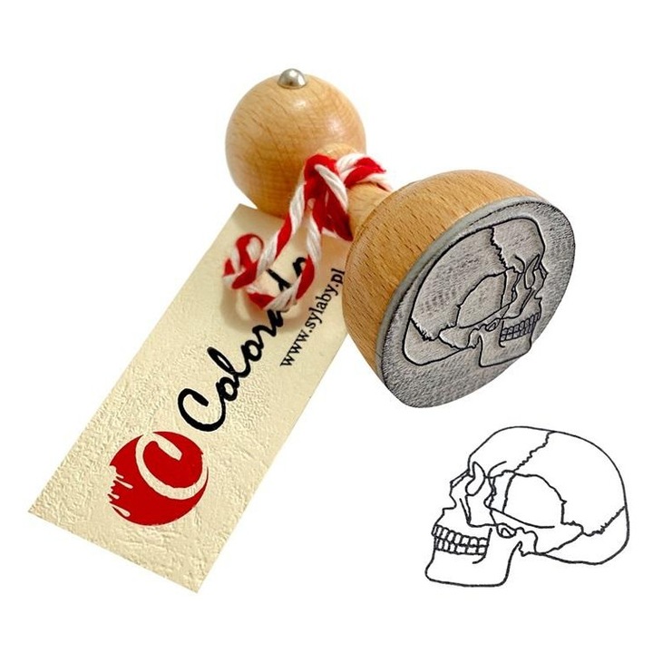 Colorado Mozgoczaszka bélyegző/pecsét, oktatási célú az anatómia tanulásához, 40 mm átmérőjű, Többszínű