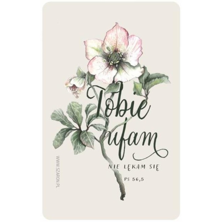 Magnet frigider Szaron multicolor 5,5x8cm