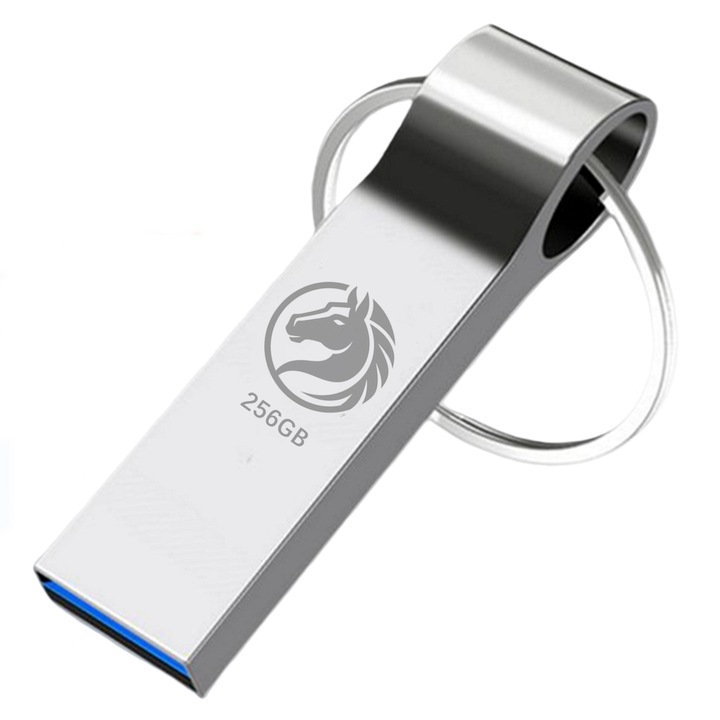 Memorie USB 3.0 metalica, rezistenta la stropi si socuri, viteza citire pana la 100 MB/s, argintiu, 256 GB