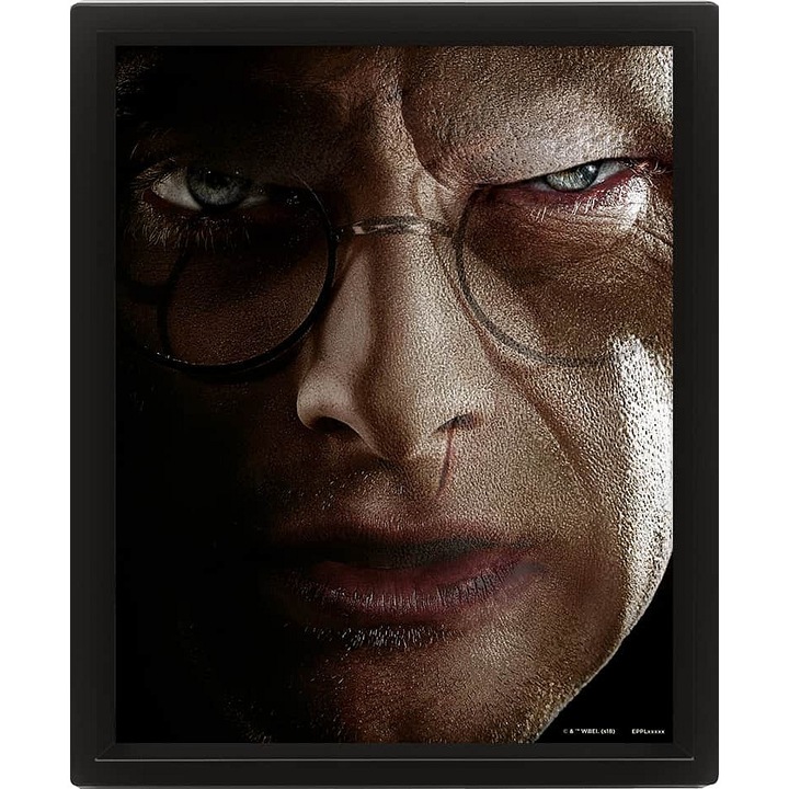 Пъзел PYRAMID Harry Potter Хари срещу Волдемор 3D ефект