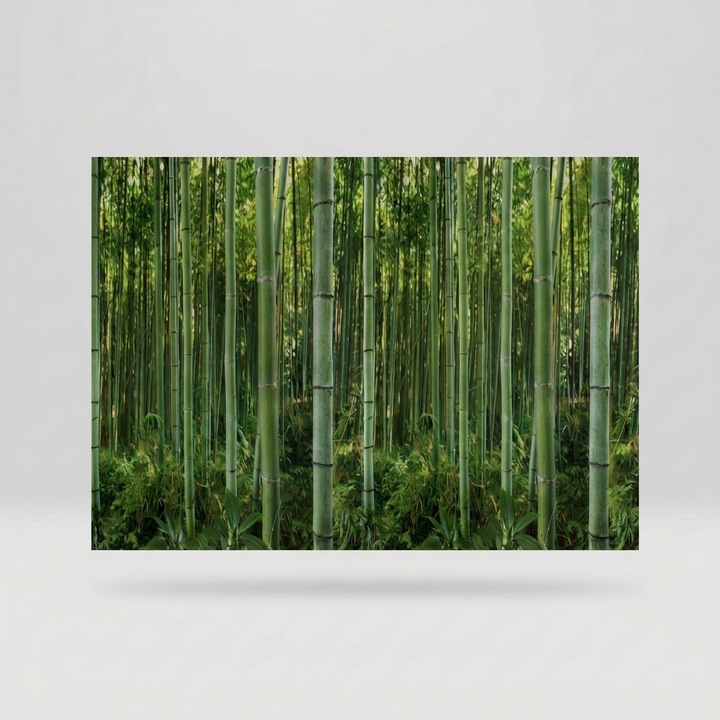 Folie geam fara adeziv, Vnilia, Bamboo, Tip bordura decorativa, Model  padure bambus, Verde, 67.5 cm x 1.5 m - eMAG.ro