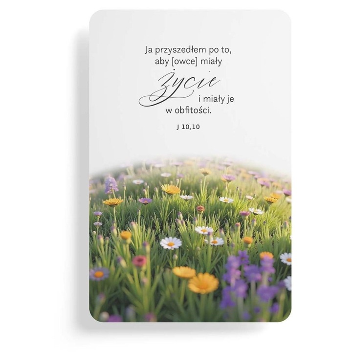 Magnet pentru frigider Szaron Am venit ca sa aiba viata J 10,10, verset biblic, design peisaj, Multicolor, 1 buc