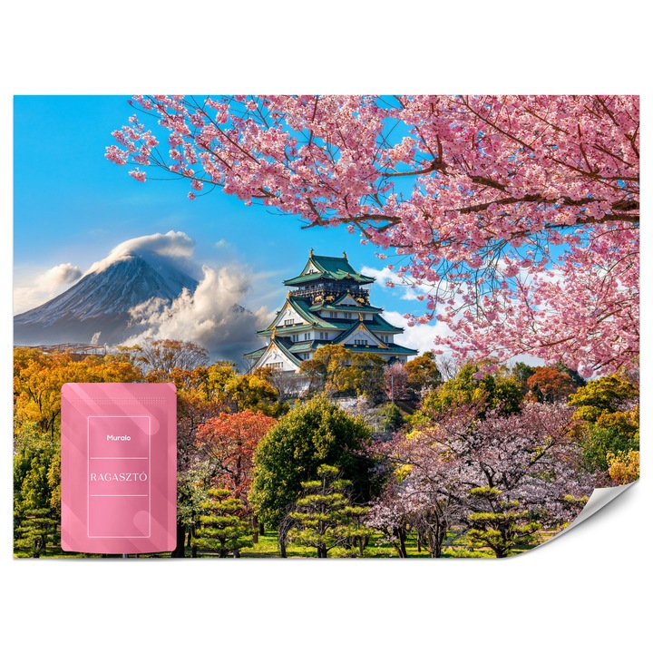 Fotótapéta Muralo Japán Oszakai Kastély 500x350 Hegyi Táj Modern Nappaliba