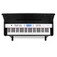 Schubert, Carnegie-61 Electronic Piano, 61-Cheie Midi