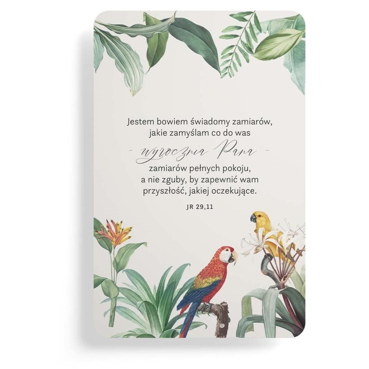 Magnet de frigider Szaron multicolor 0x6x9cm