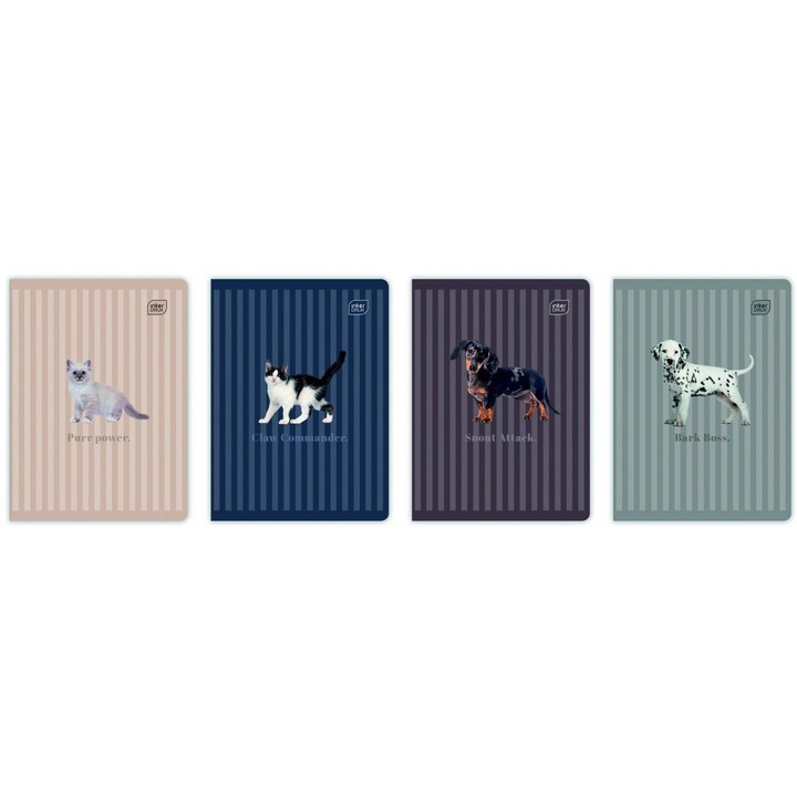 Caiet scolar/notes INTERDRUK Puppy Sign, A5, 60 file, in carouri, Multicolor, 10 bucati