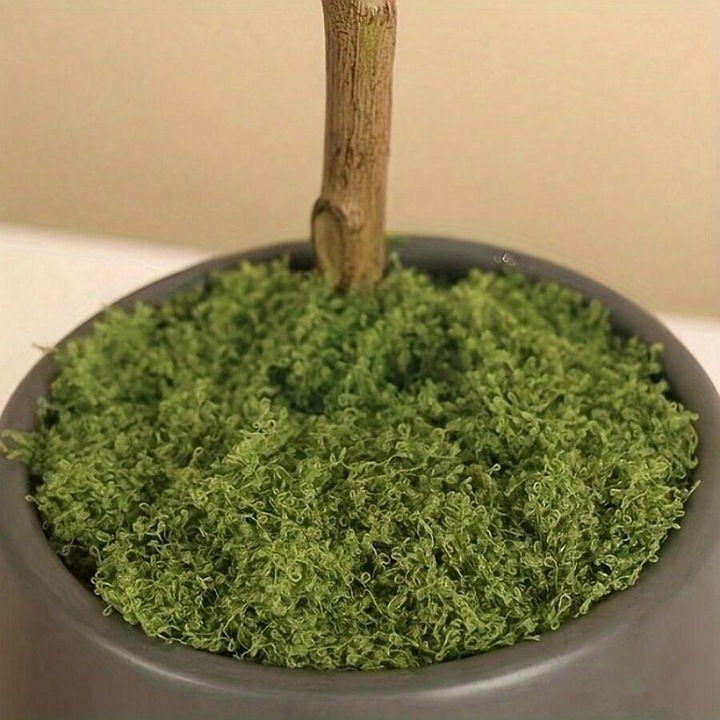 Muschi artificial, pentru plante de ghiveci, 40g