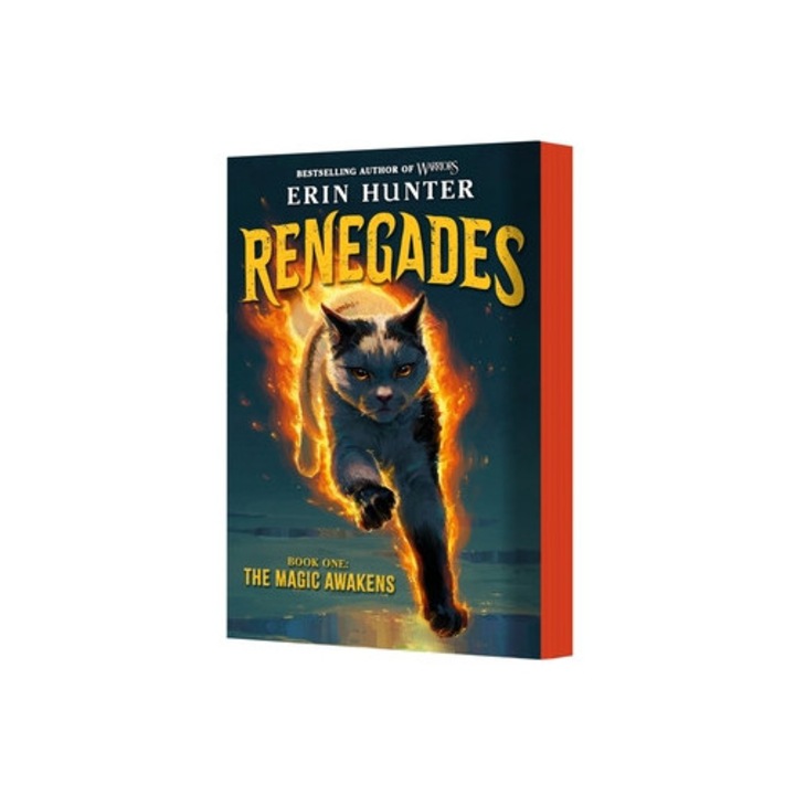 Renegades #1: The Magic Awakens - Erin Hunter