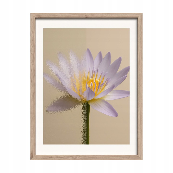 Модерна картина Styler Lotus Flower 30x40см