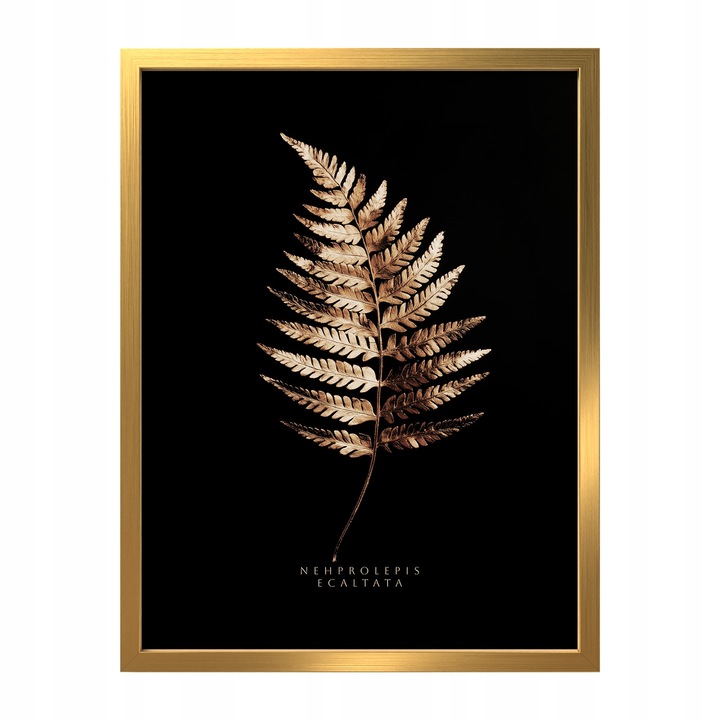 Картина Styler Gold Fern, 30x40см, златна, модерна