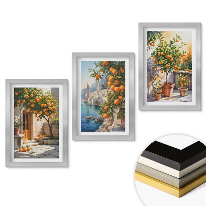 Комплект от 3 декоративни картини, Coloray, рисувани цитруси, оранжев, 20x30 см, сребърна рамка
