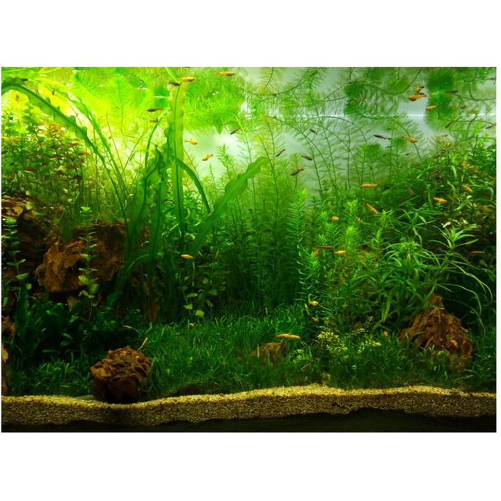Poster fundal acvariu, iarba acvatica, PVC, autocolant, galben, 61x41cm