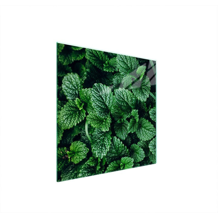 TMK ArtDeko Üveg védőlap 50x52cm többszínű