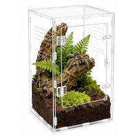 Terariu transparent din acril, potrivit pentru paianjeni-lup, soparle si paianjeni-saritori, cu orificii de aerisire