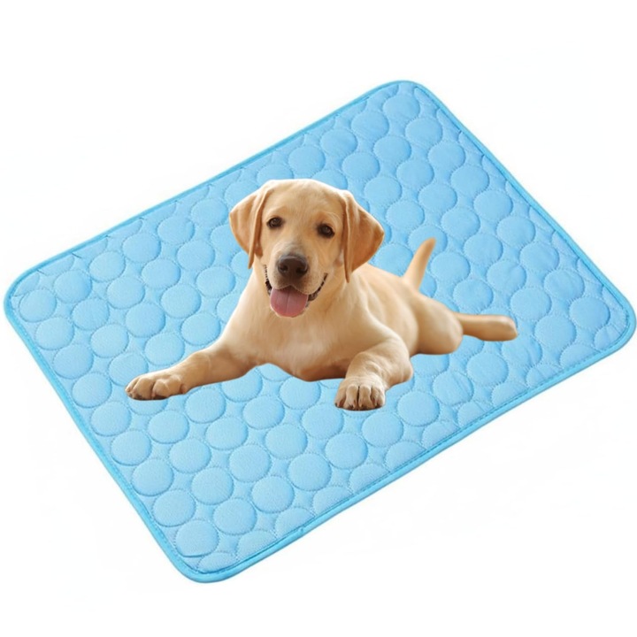 Saltea racoroasa pentru caini 50x40cm albastru