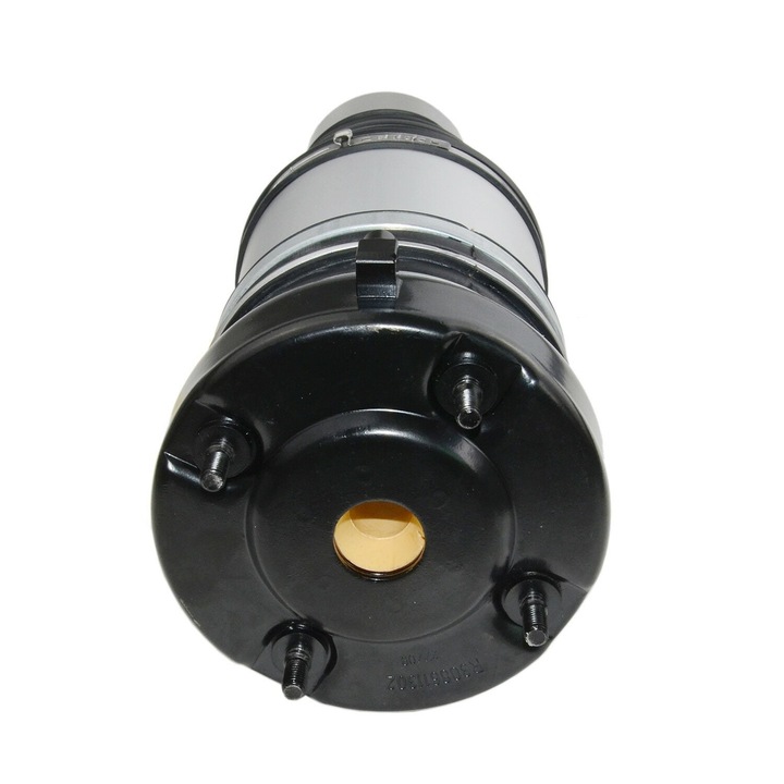 Perna de aer Fata Audi A6 C6 4F (2004-2011) 4F06616039 / 4F06616040