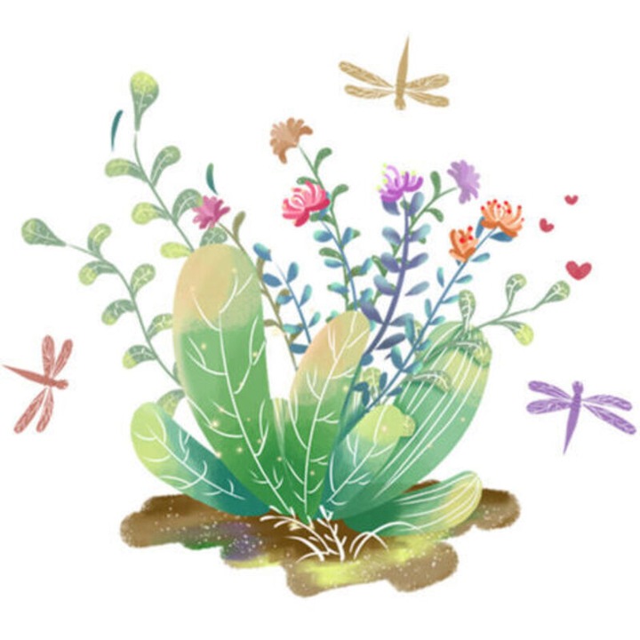 Sticker decorativ pentru capacul toaletei 25x30cm, reutilizabil, autocolant, rezistent la apa