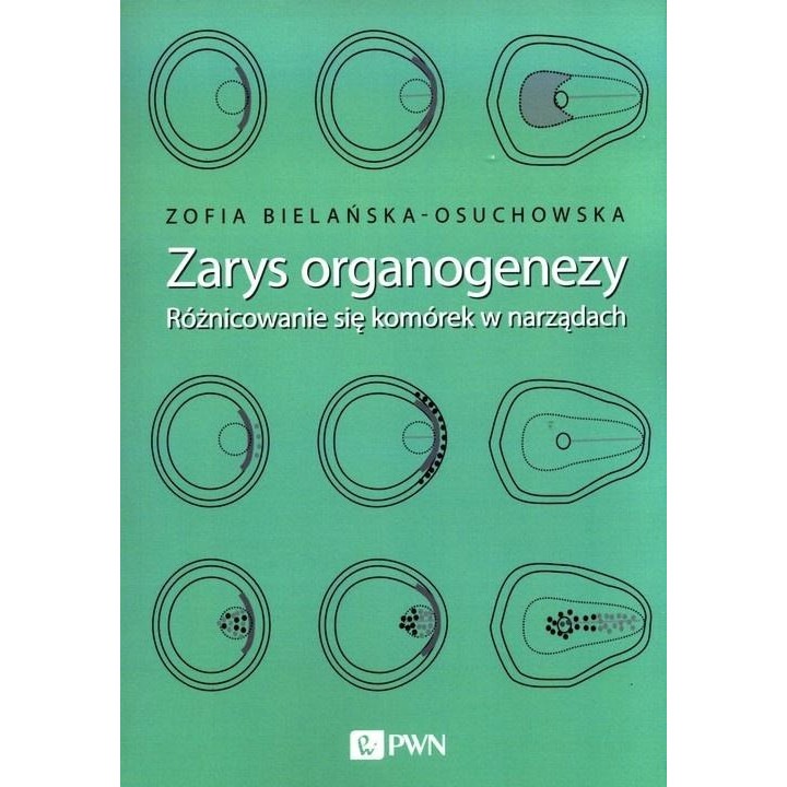 Részletes embriológiai kézikönyv PWN Zarys organogenezy, színes, 21x29cm