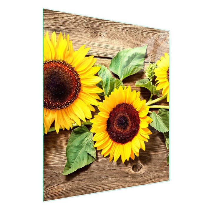 Placa sticla protectie bucatarie TMK ArtDeko 45x52cm multicolor