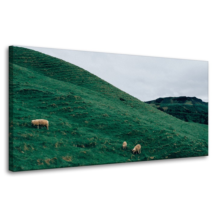 Картина върху платно MPINK Natura, 80x40см, многоцветна