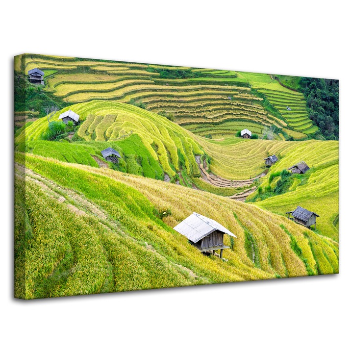 Картина върху платно MPINK Natura земеделски тераси 80x50cm