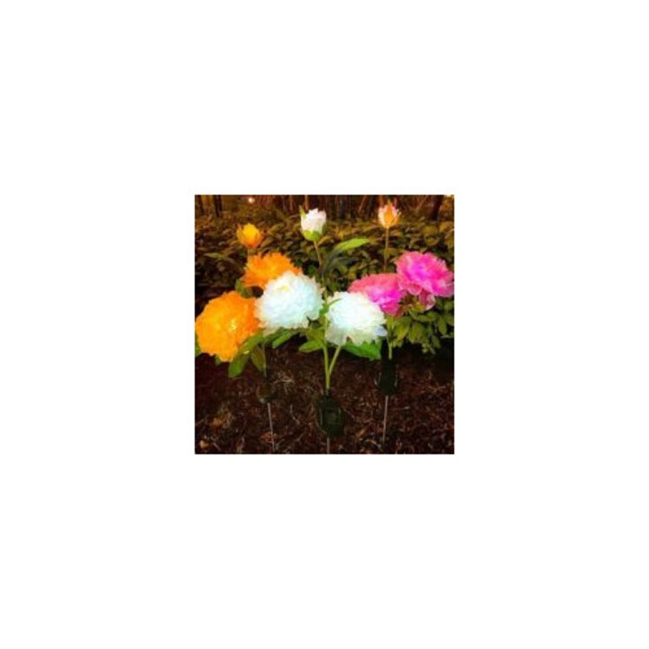 Set 3 lampi solare exterior flori pivoine multicolor 120x12cm