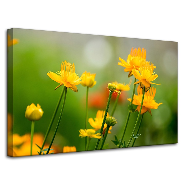 Картина върху платно MPINK Botanica жълта 80x50см