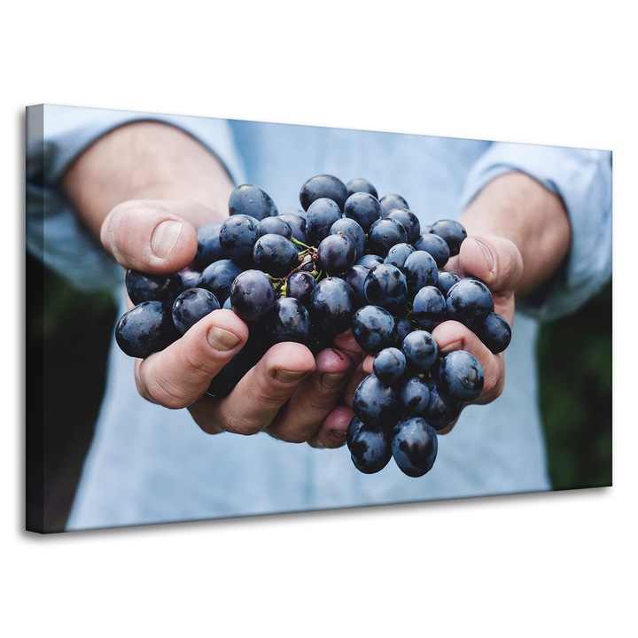 Картина върху платно MPINK 100x60cm многоцветна природа