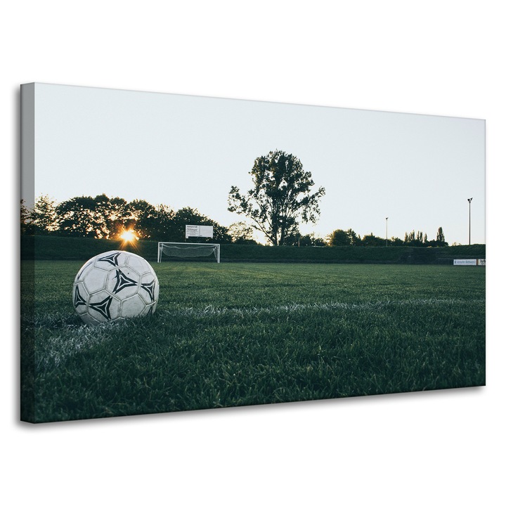 Tablou pe panza MPINK fotbal 100x60cm