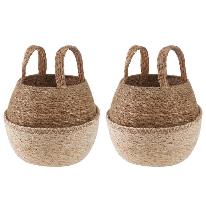 Vaza pentru plante cu manere 2 pcs vidaXL, Alb Ø 22 x 20 cm